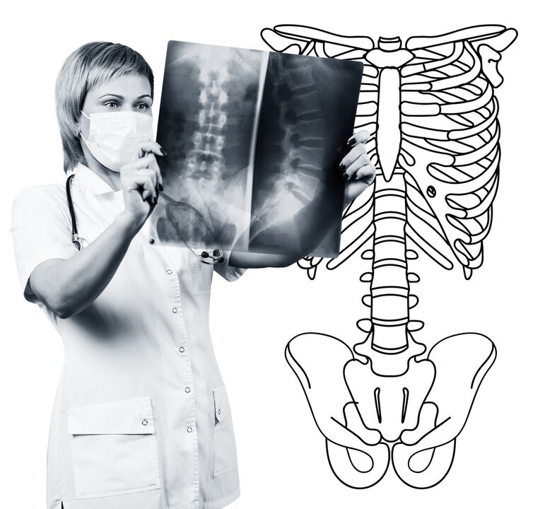 Lomber Range of spine