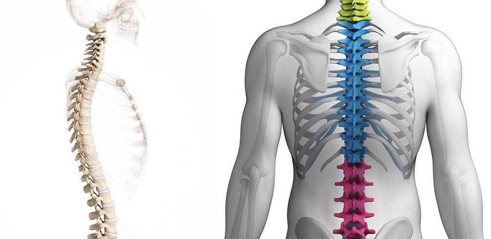 damage to the lumbar spine with osteochondrosis